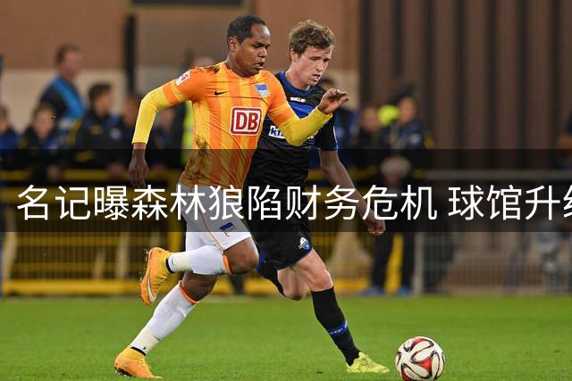 名记曝森林狼陷财务危机 球馆升级无望难获新投资