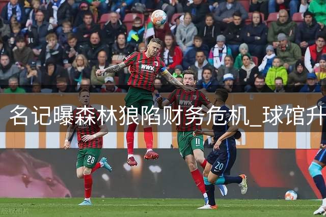 名记曝森林狼陷财务危机 球馆升级无望难获新投资